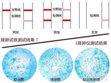 怎样正确的判断排卵期