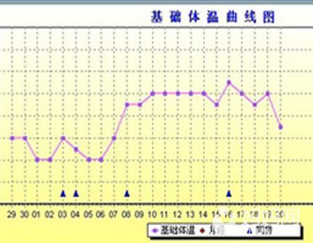 怎样正确的判断排卵期